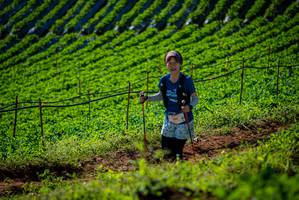 BIB: 095
                            <button type="button" onclick="openModal(19161127)" class="btn btn-primary btn-sm float-right btn-popup" data-toggle="modal" data-target=".modal-high-quality">
                        <i class="fas fa-shopping-cart"></i> Add to Cart
                    </button>
                                            <button type="button" onclick="isThisMe(19161127, true)" class="btn btn-success btn-sm float-right btn-popup btn-isme hidden" data-toggle="tooltip" data-placement="bottom" title="นี่คือรูปของคุณใช่ไหม คลิกที่นี่เพื่อเอาเข้าอัลบั้ม">
                        <i class="fas fa-plus"></i> Add to album
                    </button>
                    <button type="button" onclick="isThisMe(19161127, false)" class="btn btn-warning btn-sm float-right btn-popup btn-isnotme hidden">
                        <i class="fas fa-ban"></i> Remove from album
                    </button>